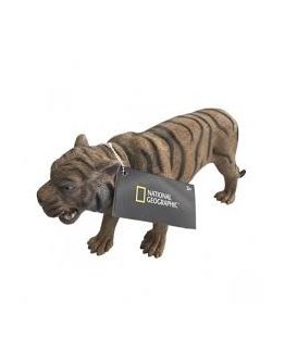 BENGAL TIGER NATIONAL GEOGRAPHIC