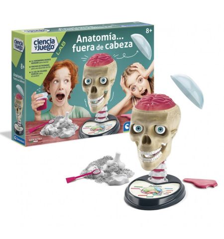 ANATOMIA JUEGO DE ANATOMIA
