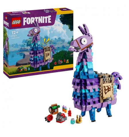 FORTNITE 77071