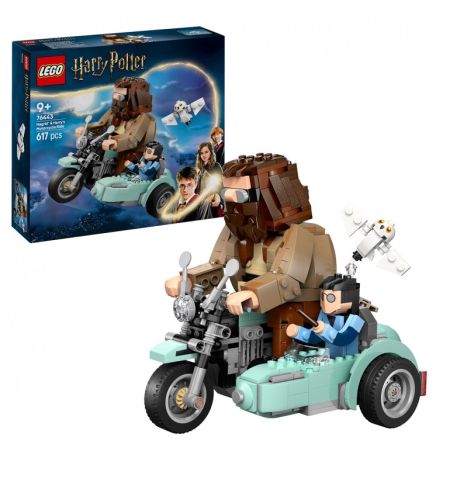 HARRY POTTER 76443