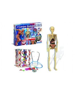 EL CUERPO HUMANO CIENCIA Y JUEGO