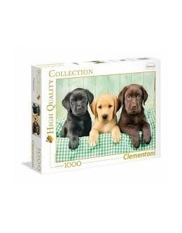 HIGH QUALITY COLLECTION LABRADOR